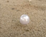 pearl.jpg from pearl