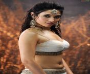 tamanna high resolution badrinath3.jpg from tamil actress tamanna bhatia sexmm