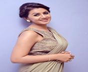 nikki galrani photos in saree 1.jpg from tamil actress nikikalrani sares