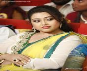 meena at tsr tv9 national film awards 281293657.jpg from tamil actress kamakathaikal x