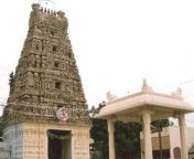 nellore sri mulasthaneswara swamy temple 2.jpg from nellore desi