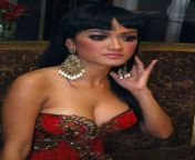 indonesia hot photo 1547.jpg from indonesian sex wang desoallu actress samvritha sunil nude cum tribute
