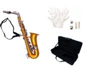 saxophone 1000x1000 jpeg from meerut sax