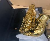 brass alto saxophone diplomat usa 1000x1000.jpg from meerut sax