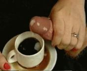 tumblr ofxv4fbite1tg3vi2o4 400 gifv from cock milk for coffee videos
