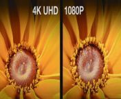 4k uhd tv vs 1080p hdtv side by side comparison.jpg from hd andh