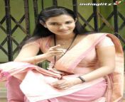 hr260512 006.jpg from tamil actress honey
