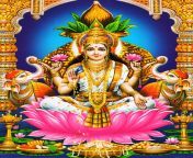 indian hindu god lord maha lakshmi sri devi image high resolution desktop wallpaper.jpg from sree lashmi