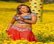 trisha5115.jpg from tamil actress trisha nan desi villege school sex video download in 3gps mp4botal sexwww bd mahi niaka xxx vidoe song commarathi sex outdoornarisa and dok