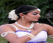 priyamani spicy posters kshetram45.jpg from african sexi tribal womantamil actress namitha nude xxx s