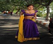 komal jha hot saree removal photos 15.jpg from bhojpuri actress remove saari peticoat sexy