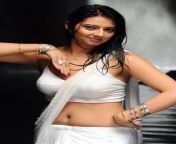 south indian actress hot in saree photos pictures images wallpapers 10.jpg from hot indian seen