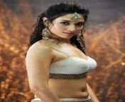 telugu actress tamanna bhatia hot pictures gallery and sizzling wallpaper6 jpeg from www telugu tollywood acctress tammana sex