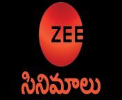 zee telugu logo.png from zee telug