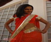 suhasini2096.jpg from telugu tv serial actress suhasini sex fucking old kavitha nude