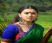 tamil movie aranmanai actress hansika motwani stills 1.jpg from tamil actress anshik