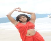 anchor rashmi gautam hot navel show stills 5.jpg from rashmi deshi chudai