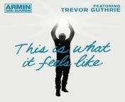 armin van buuren feat trevor guthrie this is what it feels like radio edit.jpg from this is what it would look like if i sat on your face in slow motion ftm