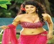 tapsee 1.jpg from south debit actress navel press