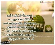 tamil romantic love quote 2016 jnanakadali.jpg from love kavithy