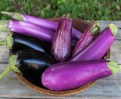2016 0810 bowl of eggplants.jpg from eggplant
