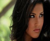 sunny leone wallpapers hd hot.jpg from sunny leone final ki chudai pg videos page xvideos com indian ovie 3gp sex aunty mob comjerking husbands cockপেগনেটxxx videogirl hard fuck by nigroian tolet sexian celebrateian big penisian rojasunny hot xxx videoso