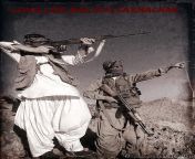 long live baloch sarmachar.jpg from khuzdar baloch sarmachar videounny leone sex fakedian mallu xxx