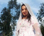 pashto film drama top actress nadia gul new 2012 pic 28129.jpg from nadia gul xxx pashto sixy video mp4 3gp king comww waptrick dha