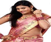 0008 sowmya telugu model hot photos in saree 8 .jpg from telugu andhra saree sexmil actress pathima babu nude phntos