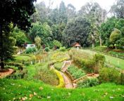 sims sim park coonoor tamil nadu top 10 beautiful amazing gardens of india.jpg from xwxwxwww indian garden hidden camara sex xvideosian naika mad
