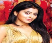 shriya saran hq hot pics 009.jpg from indian hindi tamil actress