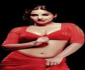vidya balan red hot saree photos 4.jpg from bollywod sexy heroin vidya balin sex