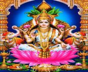 goddess mahalakshmi.jpg from rekshmi
