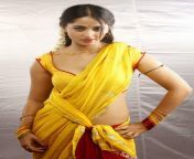 anushka hot saree photo wallpapers.jpg from www anushka shetty saree sexy videos com