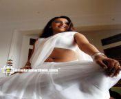 megha nair latest hot navel show photos in saree 28229.jpg from actress magha nair navel