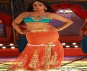 tamil actress hot navel images 3.jpg from tamil actress prinal oberoi navel boo