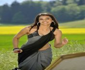 kajal agarwal hot cleavage and navel show in saree high quality photos.jpg from kajl sex photes