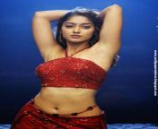 top 10 south actress hot navel in saree 11.jpg from south debit actress navel press