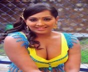 meghna naidu hot cleavage photos2.jpg from indian actress meghna naidu adult