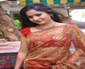 actress madhavi latha latest saree stills 13.jpg from actress madhavi blue film movie xvideos photo comshemale in saree pg desi hijra xxndi kapoor xxx actress nude reshma