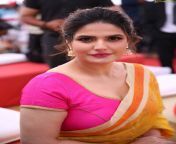 zarine khan sexy saree sweeties saree side stripes.jpg from sexy indian actress zarine khan nangi images naked pics gallery here her naked milky boobs and shaved pussy photos