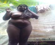 preview.jpg from tamil black nude aunty