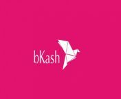 bkash.jpg from bkash