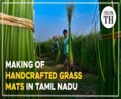 korai paai from tamil grass