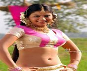 r a634af963d5a688c13c7b2521c0e1acbrikd5jltvx3vajs7qpidimgrawr0 from anjali hot sexy navel show in magizchi movie song