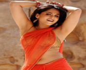 images 19 jpeg from telugu actress anushka shety 3g