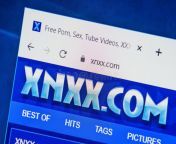 xnxx com web site selective focus macro image homepage loaded screen browser 180826491.jpg from xnxs com