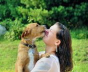 young adult woman getting licked her dog 29012641.jpg from licked