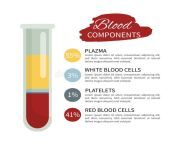 infographics components blood test tube blood blood infographic 123215702.jpg from bangla blood sexக்ஸ் வீடியோஸ்xx vidoes bd actorsfokir baba sexa sob sex