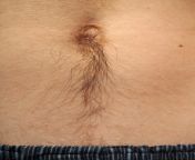 bellybutton hair 12300430.jpg from young pubes